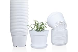 Warmplus 10cm Small Plant Pots, 24 Pack Plastic Herb Pot with Drainage Hole and Tray, Seed Seedling Pots Flower Nursery Pots for Vegetables, Flowers, Cactus, Cuttings, Succulent, White