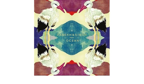 ocean nischay parekh