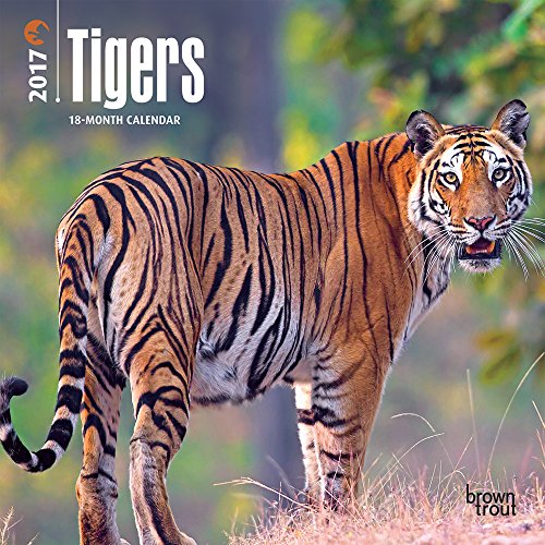 Download Tigers 2017 Mini Wall Calendar