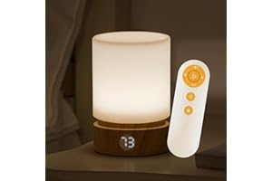 Smilodon Rechargeable Beside Lamp with Timer and Remote, LED Touch Lamp, Bedroom Night Lamp,Battery Operated Table Lamps