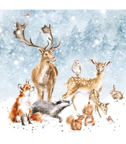 Wrendale Designs Christmas Notecard Set – The Night Before Christmas, Pack Of 8 Cards With Envelopes
