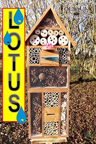 Haus XXL INSEKTENHOTEL MIT TRÄNKE SDV-HOLO-OS und FUTTERPLATZ, mit Spezialoberflächenbeschichtung "LOTUS", Futterstelle, dunkelbraun braun Nisthotel Hoch Insektenkasten Insektenhaus als Ergänzung zum Meisen Nisthotel Hoch Meisenkasten oder zum Vogelhaus Vogelfutterhaus Futterstation für Vögel Insektenhäuschen - XXL INSEKTENHOTELs