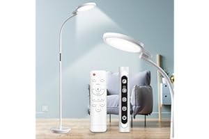 Hottoerak Floor SAD Lamp, UV-Free 10000 Lux Light Therapy Lamp, Floor Sad Light with 5 Light Colors & 5 Adjustable Brightness for Office/Home/Reading