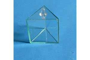 BEXCO Prism 2*2*2 Inch, Teen, Adults, Transparent