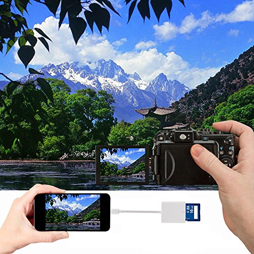 WIFUN Handy Lightning SD Kartenleser Adapter Mini SD Card-Reader Kartenlesegerät – Übertragung Bilder / Fotos – für Apple iPhone 7, 7 Plus, SE, 6, 6 Plus, 6s, 6s Plus, 5, 5c, 5s, iPad Mini, 2, 3, 4, Air, 2, Pro und Android Phone & Tablet - 6