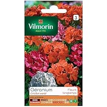 Graines De Géranium Horizon New Star F1 - Pelargonium Le Sachet De 15 Graines 67ae0582fe6219dda7e693f5