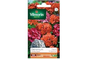 Vilmorin - Sachet graines Géranium Cricket Varié