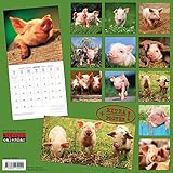 Image de Schweinchen 2018: Kalender 2018 (Artwork Edition)