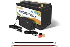TCBWORTH Batería LifePo4 de 12V 120Ah con BMS para Pesca por curricán Motor Solar RV Electrodomésticos Marinos Carrito de Golf Reserva de energía Fuente de alimentación Incluye Cargador de 7A