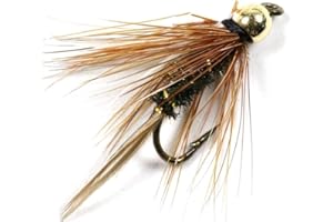 L-MEIQUN, 10PCS 10# Messing Golden Head Wet Trout & Äsche Fliegen-Fischen Fliegen Wet Fly Bead Kopf Prince Nymph
