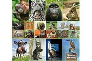 Edition Colibri ANIMAUX drôles III: Ensemble de 20 cartes postales avec des animaux coquins et drôles, toutes différentes cartes postales au format 14,8 x 10,5 cm de