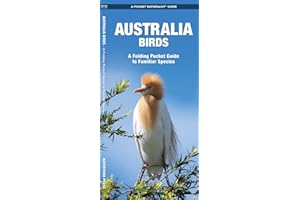 Australian Birds: A Folding Pocket Guide to Familiar Species (Wildlife and Nature Identification)