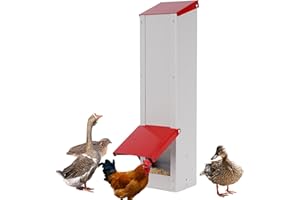 BREUAILY 3kg Automatic Chicken Feeder Metal Wall Mounted Poultry Feeder No Waste Chicken Feeders Trough with Lid Outdoor Weatherproof Chicken Coop Food Dispenser for Chickens Ducks