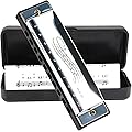 Harmonica Blues en Do Diatonique 10 Trous 20 Notes Acier Inoxydable Mini pour Enfants Adultes Débutants et Artistes (Blanc)