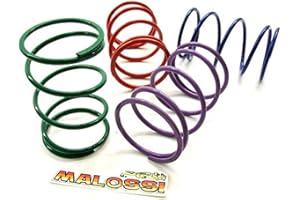 Gegendruckfeder MALOSSI Racing 106Prozent kompatibel mit KYMCO Yager, GILERA DNA,Runner, PEUGEOT Jetforce, Speedfight 2 3 50ccm