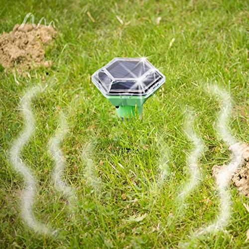 Gardigo Solar Maulwurf-Ameisen-Frei Diamant Vibration, Maulwurfschreck, Ameisenschreck, Maulwurfvertreiber, Wühlmausschreck - 7
