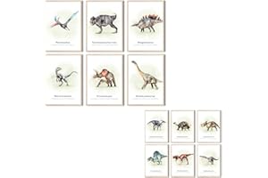 MeinBaby123® Lot de 6 posters dinosaures double face pour chambre d'enfant,Format A4,12 motifs,Images pour chambre d'enfant,Pour chambre d'enfant,Premium (lot de posters double face V1)