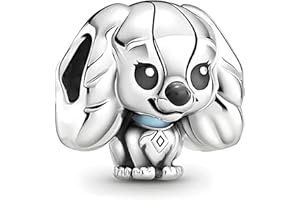 JCALEYDO Charm, Plata de Ley 925, Compatible con Pulsera Pandora
