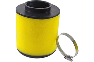 Yerbay Filtro de aire para Honda ATV TRX250TM/TE Recon 1997-2020/ TRX250EX Sportrax 2001-2008/ TRX250X 2009-2020 17254-HM8-000