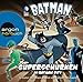 Batman: Superschurken in Gotham City by 