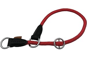 Aiminto Braided Collar, Pro Training Dog Collar, No Pull Round Martingale Collar, Slip Collar with Slidable Stop Ring - Ideal for Medium Dogs (M(1/3") - 18" Long, Red)