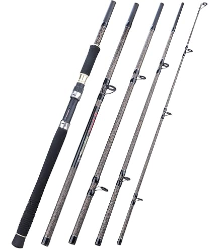 Lineaeffe Moon Walk – Canna Da Pesca Telescopica Surfcasting 3,60 M (60-120 G) - 4