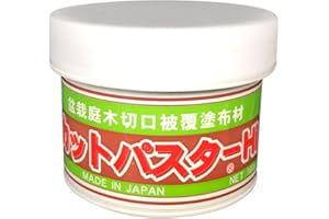BONSAIOUTLET Mastic japonais, pâte curative spécifique pour bonsaï à larges feuilles, 160 gr