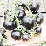tomate hibrido robin  200 PC / bolsa de carne de vaca gigante híbrido de tomate Semillas extra-extra-carnosos sabroso tomate alimentos orgánicos Semillas de hortalizas Bonsai Plantas de macetas Claro
