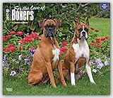 Image de Boxers - For the Love of - Boxer 2017 - 18-Monatskalender mit freier DogDays-App: Original BrownTrout-Kalender - Deluxe