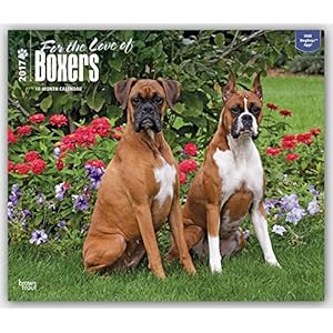 Boxers - For the Love of - Boxer 2017 - 18-Monatskalender mit freier DogDays-App: Original BrownTrout-Kalender - Deluxe