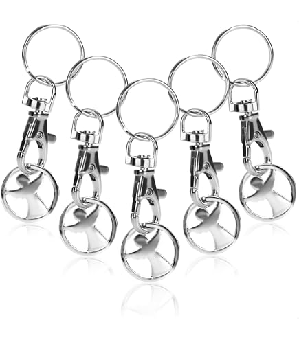Your Day Mate Sgancia carrello universale per tutti i carrelli spesa, 2 pezzi, in acciaio inox, anello portachiavi con moschettone e chip per carrello spesa, chip sgancia carrello spesa rimovibile