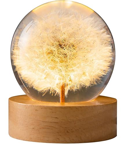 Lampada Notturna Sfera Di Cristallo Con Fiore Vero Dentro, Luce Notte LED Con Base In Legno, Regalo Perfetto Per Donne E Ragazze (Rosa, 7 Cm)