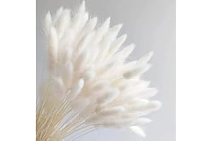 Dicunoy 200 Stück Pampasgrasdekoration, Hasenschwanz Trocken Blumen, Natürlich Getrocknetes Pampasgras, Ewige Getrocknete Kaninchenschwänze, Grasblumen für Vase, Arrangements,Zuhause,Hoteldekoration