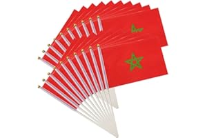 Luxylei Mini Drapeaux marocains tenus dans la Main 20pcs Petits Drapeaux de bâton du Maroc Drapeau National d'impression de Pays de Polyester pour des événements Sportifs de défilés