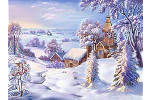 ABEUTY Peinture par numéros pour adultes débutants - Scène enneigée de village - 40,6 x 50,8 cm - Jouet anti-stress (encadré en bois)