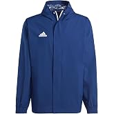 adidas Entrada 22 All-weather erkek montu