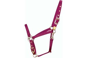 Hamilton 3/4-Inch Nylon Arabian Horse Halter with Adjustable Chin and Throat Snap, Average, 800 to 1100 pounds, Wine