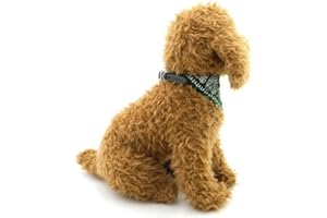 Ranphy Petit bandana réglable pour chien et chat - Pour toutes saisons - Vert (animaux de petite race uniquement)