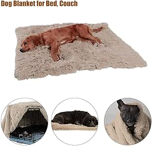 pet blankets for cats