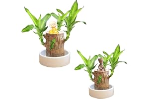 ERISAMO Lucky Bamboo Plants Indoor - Artificial Tree Stump - Wood Stump- Mini Brazil Lucky Wood -Magical Sprouting Lucky Bamboo Wood - Brazilian Lucky Wood Plant - Tree Stump Decor (Doll+Monk)