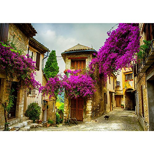 Fototapete Provence 352 x 250 cm – Vliestapete – Wandtapete – Vlies Phototapete – Wand – Wandbilder XXL – !!! 100% MADE IN GERMANY !!! Runa Tapete 9039011b - 6