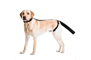 Ohcozzy Hundeschwanz Schutz, Hundegeschirr mit Schutzhülle für die Schwanzenden, Verband Hund Rutenschutz für leckschutz eine Bequeme Genesung nach Wundverletzungen,M
