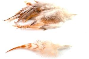 ‎CREATIVERY 20 Hahnenfedern CHINCHILLA ca. 10-15cm (natur rotbraun) // Dekofedern Bastelfedern Federn Schmuckfedern Vogelfedern