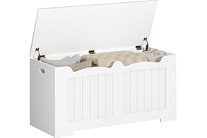 Hzuaneri Cassa portaoggetti, Panca con portaoggetti, Cassapanca, panca scarpiera, Pouf Organizzatore, 40 x 100 x 48 cm, per corridoio, Bianco, 01003XSB