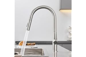 DERW Kitchen Tap, Kitchen Mixer Tap with Pull-Out Sprayer, 2 Modes Spray, 360° Swivel Spout, Single Handle High-Arc Design, Water-Saving Cartridge, Easy Installation with Fittings Included