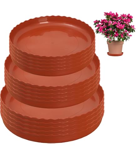 DAKFOOK 15 sottovasi Rotondi in plastica di 3 Dimensioni, 19 cm/24 cm/30 cm, per Fiori Rossi, per Piante da Giardino per Interni ed Esterni