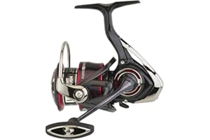 Daiwa Angeln Fuego LT 3000-C