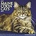 Produktbild Just Maine Coon Cats 2018 Wall Calendar