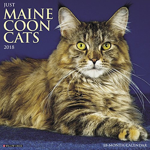 Preisvergleich Produktbild Just Maine Coon Cats 2018 Wall Calendar