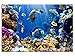 Produktbild kunst-discounter Bild Leinwandbilder Canvas Tropische Fische Aquarium Designbild A05398 120 x 80 cm